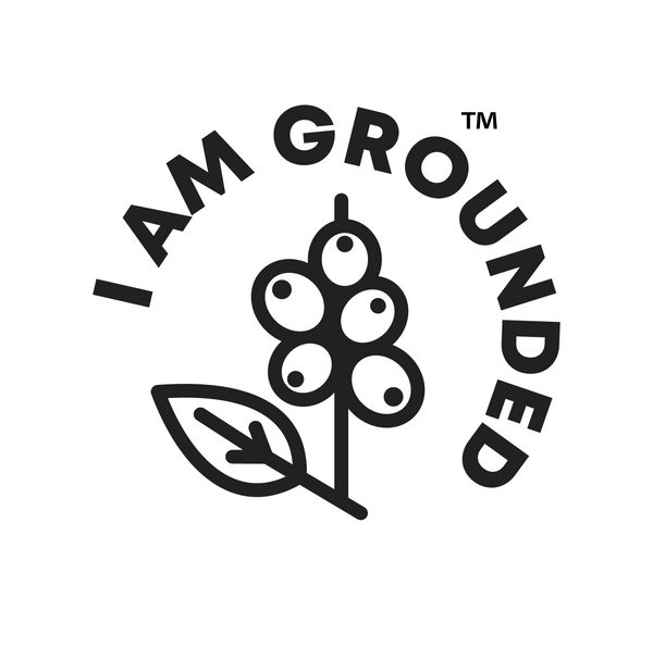 I Am Grounded