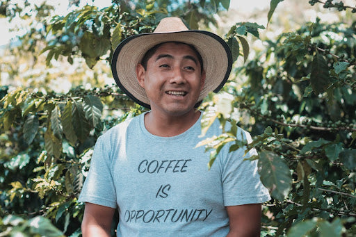 A Nod To Caficultores (Coffee Farmers) 